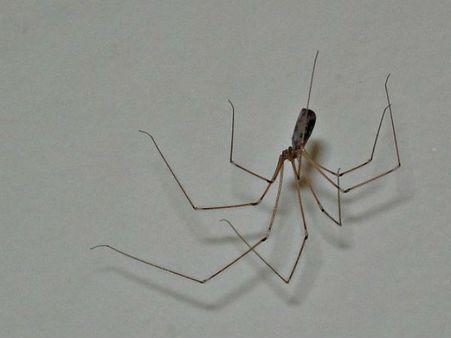 He Ignored The Pain Initially He Ignored The Pain Initially