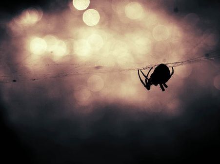 It Crawled Inside His Ear! It Crawled Inside His Ear!