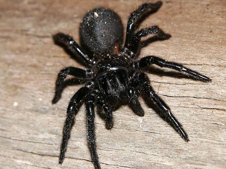 The Incident Happened In China The Incident Happened In China