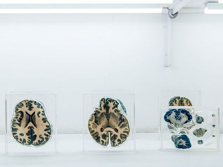 The Researchers Lead The Tour The Researchers Lead The Tour