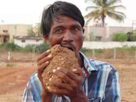 He Prefers Bricks Over Chicken! He Prefers Bricks Over Chicken!