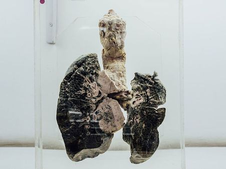 There Are Other Things On Display As Well There Are Other Things On Display As Well