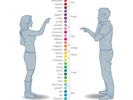 Ability To Judge Colours