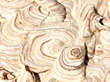 Instead It Dries Up The Vagina