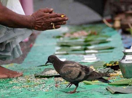 Not Performing The Shradh Ceremony