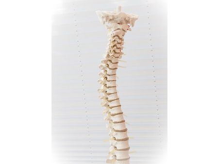 If There Are Neck Injuries: