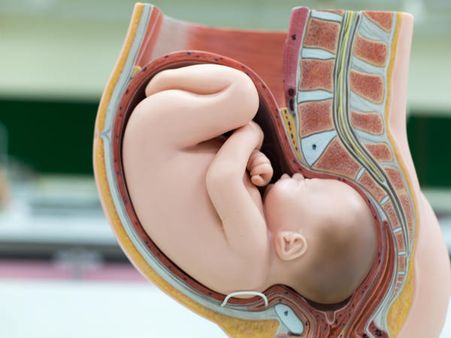 What Should You Expect During The Procedure?