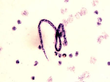 The Incident Happened In India The Incident Happened In India