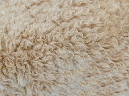 Get An Eye-catching Rug