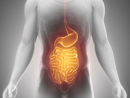 • Supports digestion