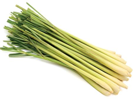 4. Lemongrass Essential Oil