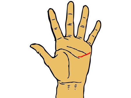 If The Head Line Branches Upward