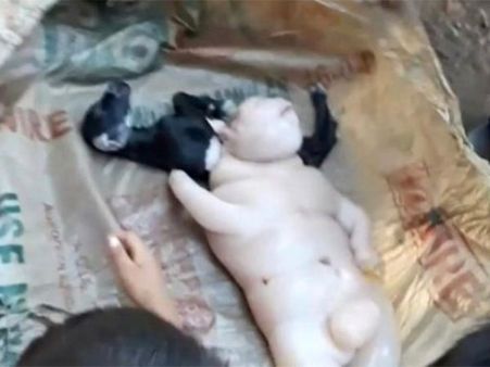 The 'Half-human, Half-pig Looked Like The 'Half-human, Half-pig Looked Like