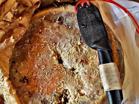 Casu Marzu Casu Marzu