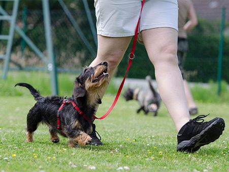 Nat Was Worried Through Her Pregnancy