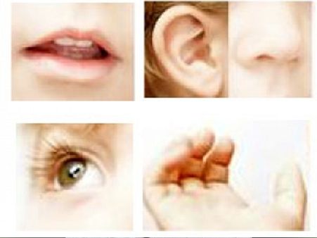 The First Five Forms Of Consciousness The First Five Forms Of Consciousness