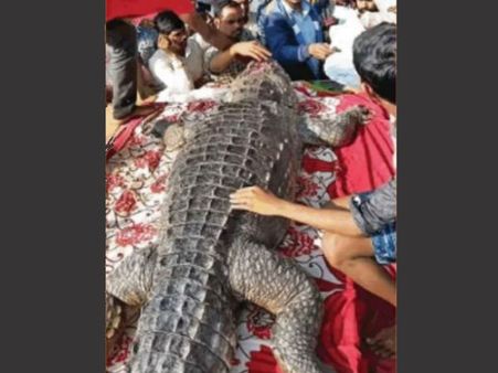 Around 500 People Were Present