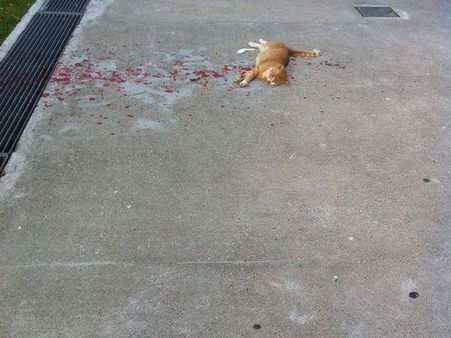 This Is Not The First Thing People Have Got Confused With