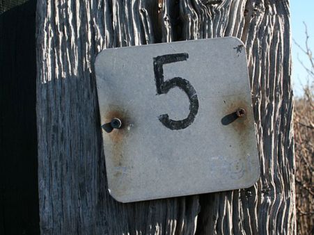 They Are Less Dramatic