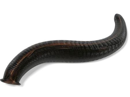 How Did It Land There!