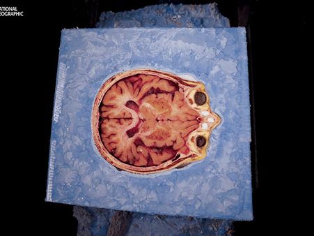 She Wanted To Be Immortalised