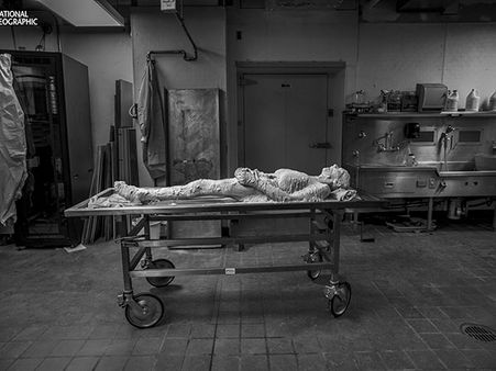 Her Body Would Be Sliced Up To 27,000 Pieces!