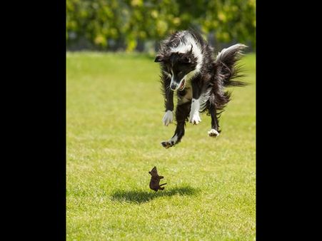 We Wonder Who Is Scared Of Whom