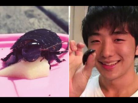 Their Love Was Going Strong Until Lisa Died!