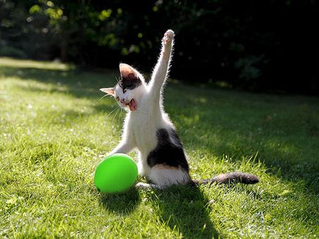 Imagine What Happened Next!