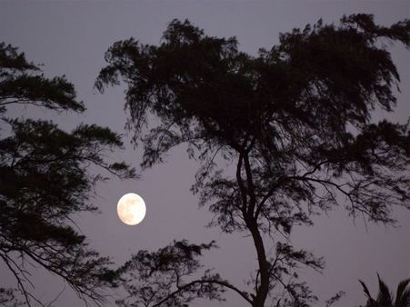 Magh Purnima Fast Benefits