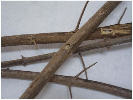 2. To Receive The Money From Debtors