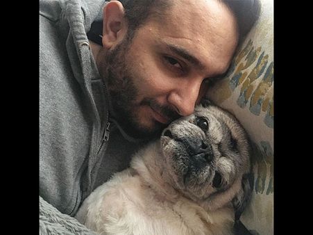 The Pet Shorty Was Adopted 11 Years Ago! The Pet Shorty Was Adopted 11 Years Ago!