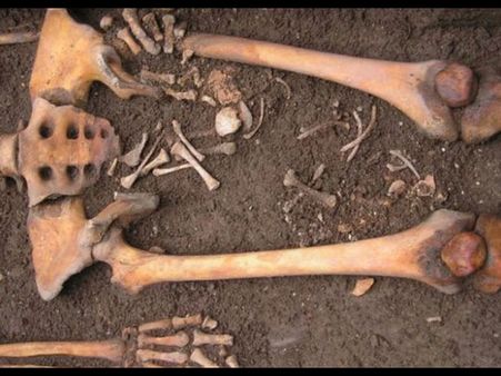 The Analysis Revealed