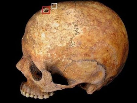 The Process Of Birth 