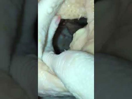 Netizens Reacted... Netizens Reacted...