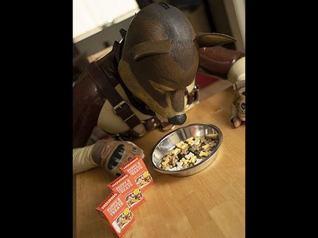 He Also Loves Eating From The Bowl