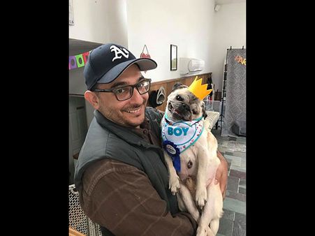 The Pup Calmed Instantly The Pup Calmed Instantly