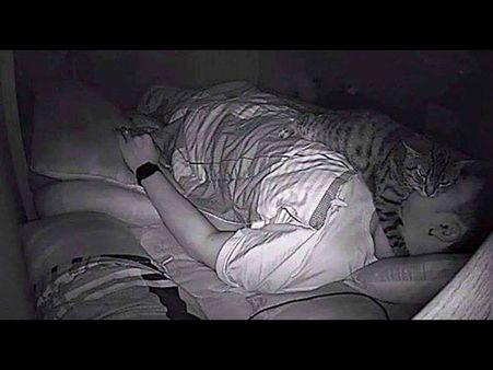 The Cat Loved Sleeping On His Face