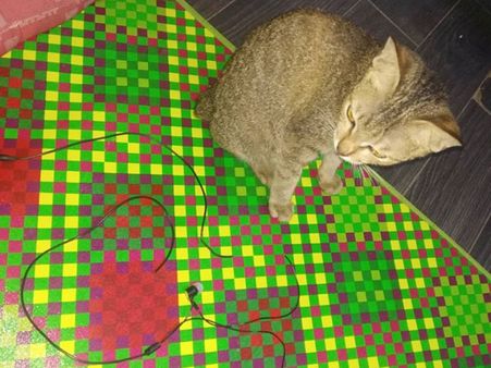 The Post Has Gone Viral