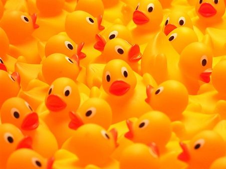 The largest collection of rubber ducks