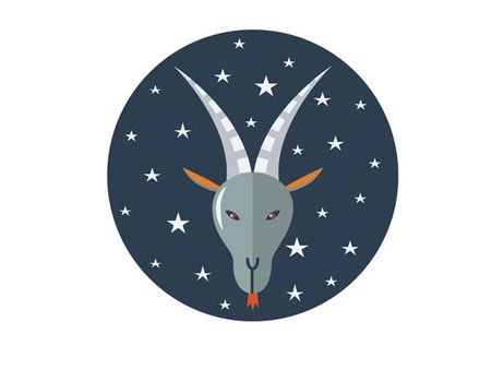 Capricorn: 22 December - 19 January
