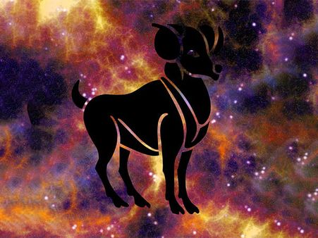 Capricorn: 22 December - 19 January Capricorn: 22 December - 19 January