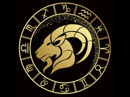 Capricorn: 22 December - 19 January