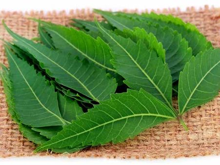 Neem And Diabetes