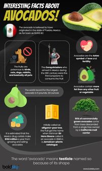 Avocado For Your Health