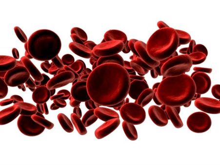 9. Improves blood circulation