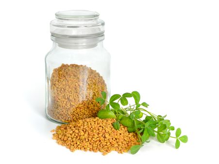 1. Fenugreek (methi)