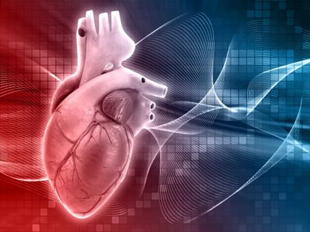 1. Promotes heart health