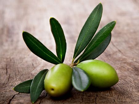 5. Olive Leaves
