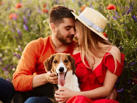 7. Be Honest And Speak Love Language Often 